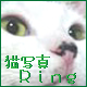 Lʐ^Ring